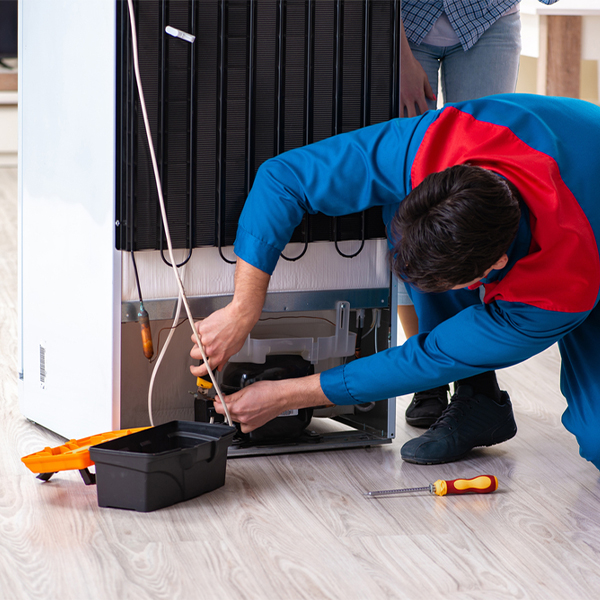 what are the common refrigerator repair services in Wise